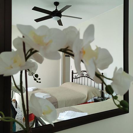 Paradise Garden Paros Piso Livadi Exterior photo