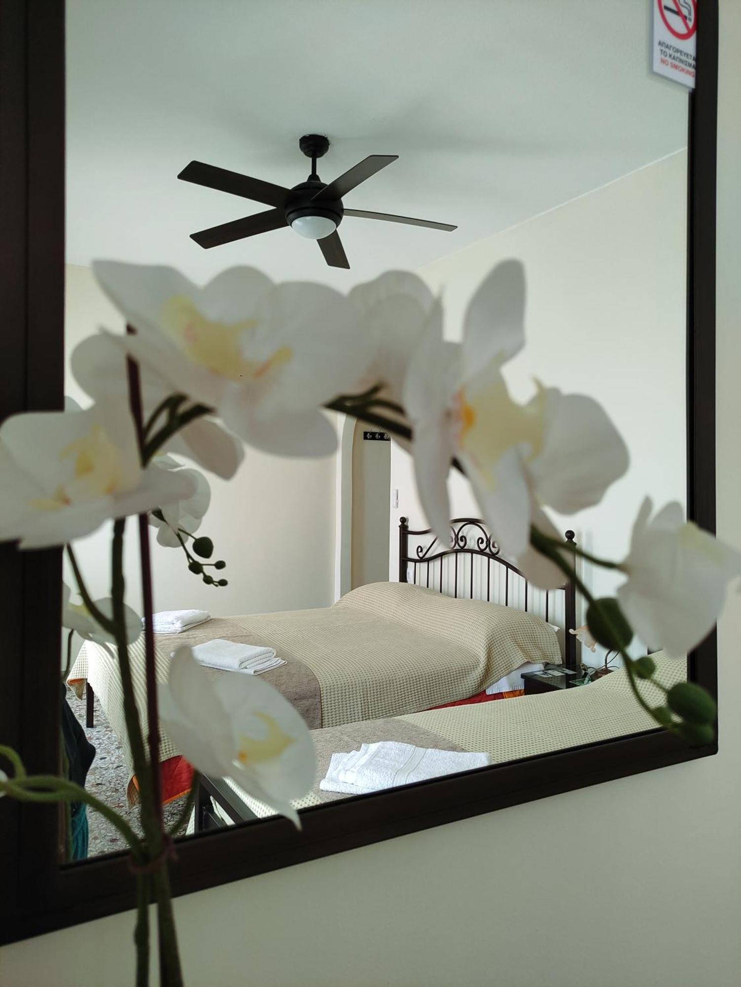 Paradise Garden Paros Piso Livadi Exterior photo