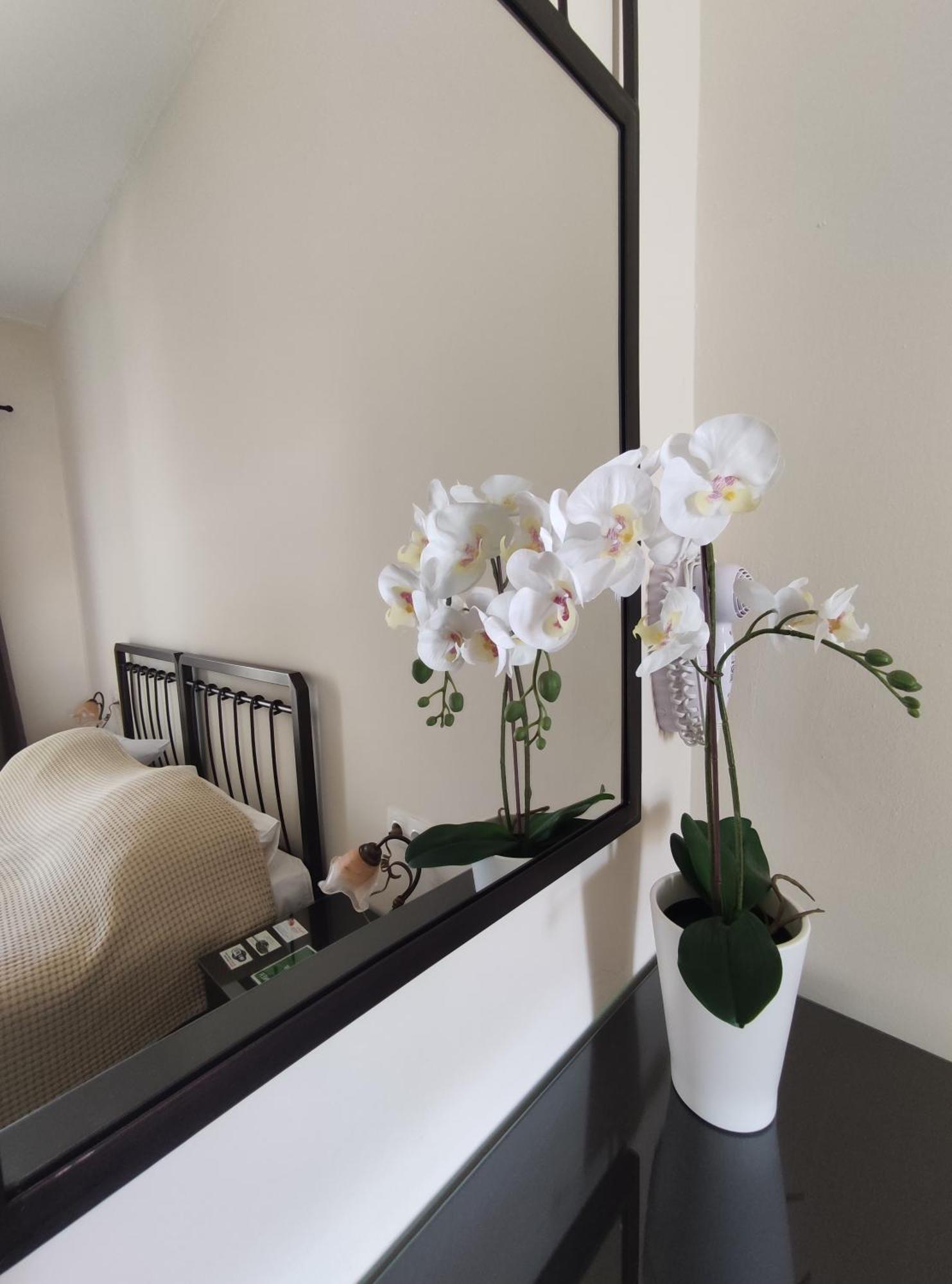 Paradise Garden Paros Piso Livadi Exterior photo
